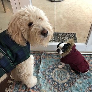 Meet your Posher, Marianne